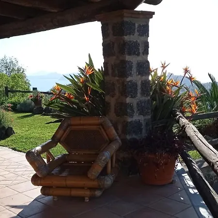 Il Vigneto Di Fiaiano *