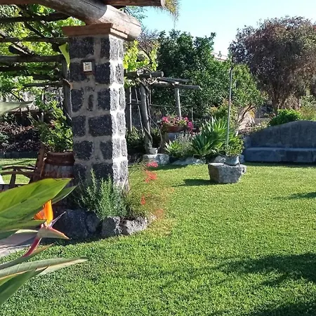 Il Vigneto Di Fiaiano Ischia