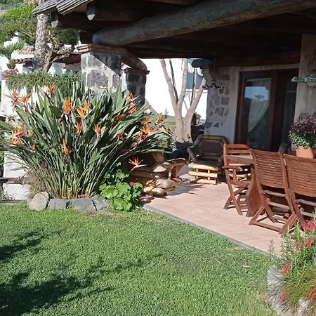 Il Vigneto Di Fiaiano Ischia