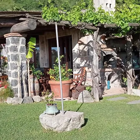 Il Vigneto Di Fiaiano Holiday home Ischia