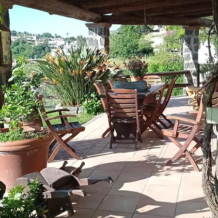 Il Vigneto Di Fiaiano * Ischia